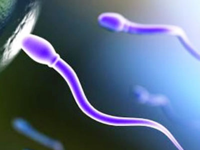 Γονιμότητα: Τα αντιοξειδωτικά δυναμώνουν το σπέρμα!